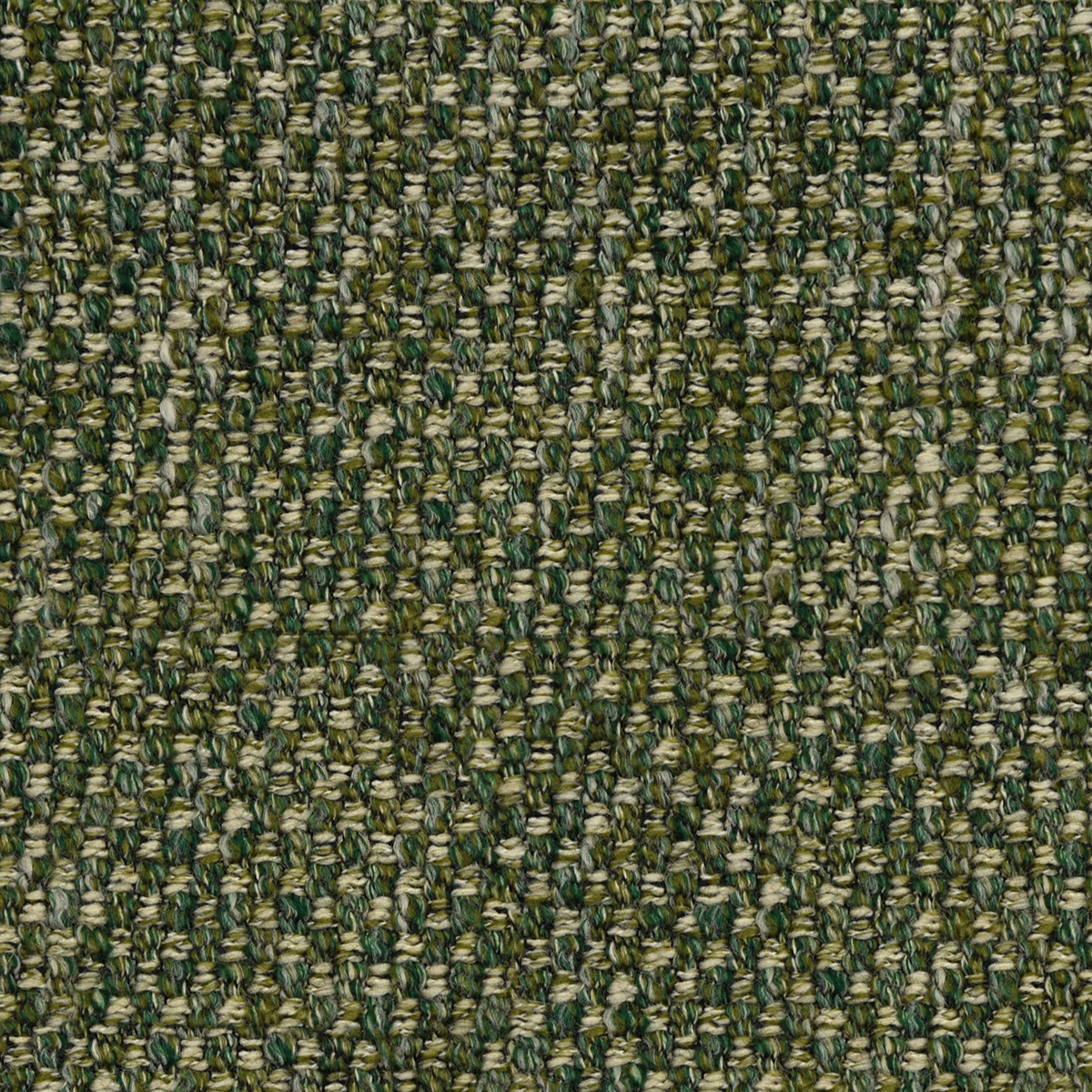Moss